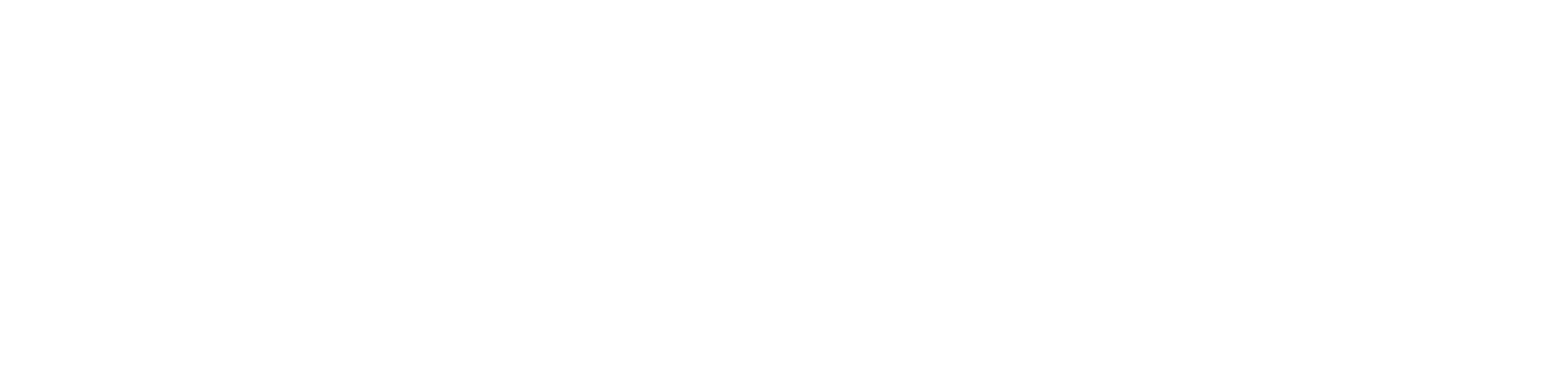 Vidiom logo